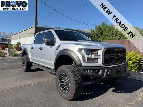 Ingot Silver Metallic 2019 Ford F-150 Raptor