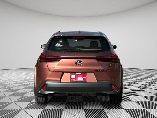 2025 Lexus UX 300h Premium