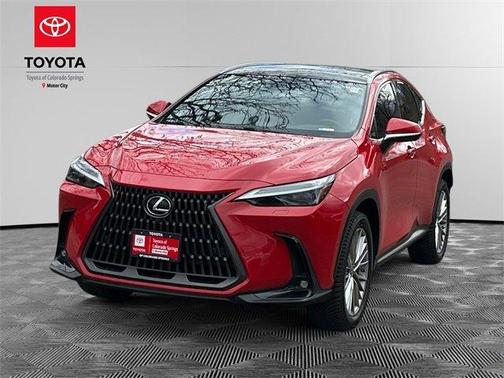 2024 Lexus NX 350h Luxury