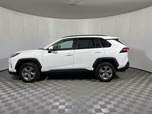 Ice Cap 2025 Toyota RAV4 XLE