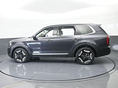 Panthera Metal 2025 Kia Telluride S