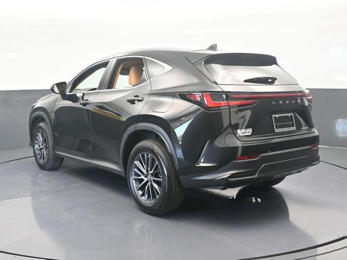 2023 Lexus NX 250 Base