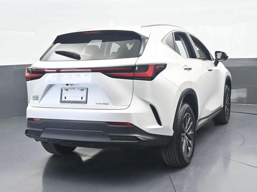 White Pearl 2023 Lexus NX 250 Base