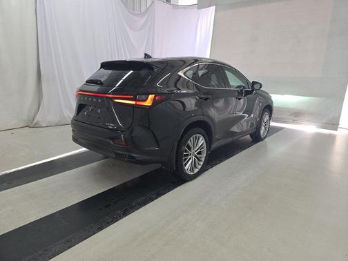 2024 Lexus NX 350 Luxury
