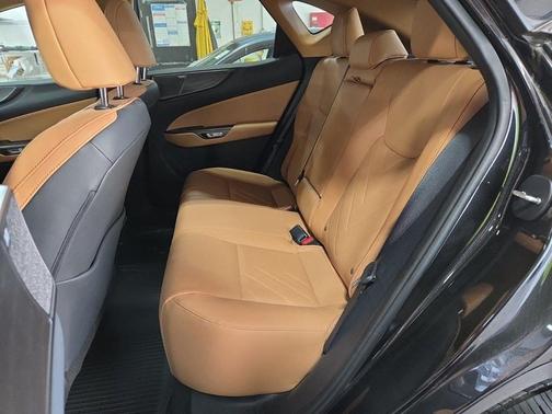 2024 Lexus NX 350 Luxury