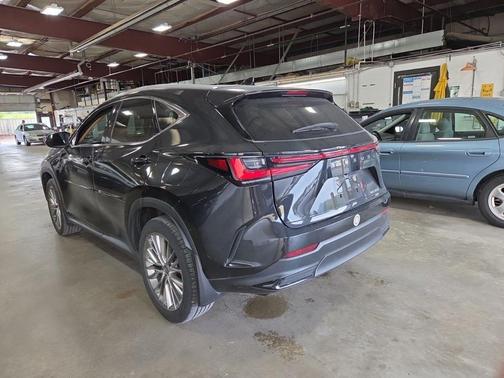 2024 Lexus NX 350 Luxury