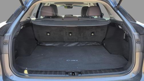 Nebula Gray Pearl 2019 Lexus RX 350 F Sport
