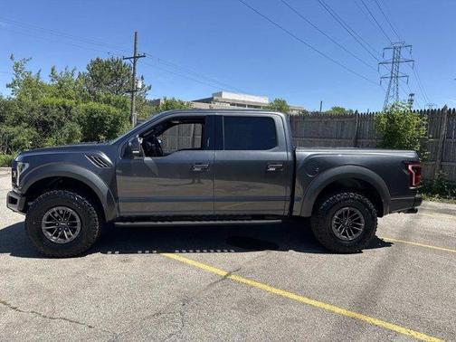 Magnetic 2020 Ford F-150 Raptor
