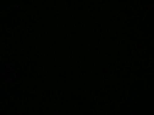 2024 Lexus TX 350 350