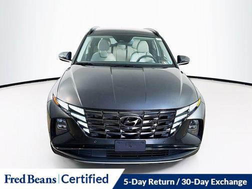 Portofino Gray 2023 Hyundai TUCSON Limited