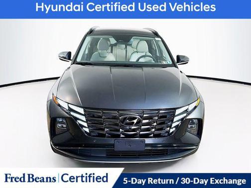 Portofino Gray 2023 Hyundai TUCSON Limited