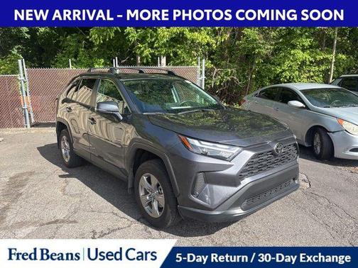 Magnetic Gray Metallic 2024 Toyota RAV4 XLE