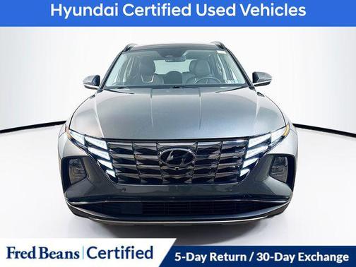 Amazon Gray 2023 Hyundai TUCSON Limited