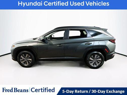 Amazon Gray 2024 Hyundai TUCSON Hybrid Blue