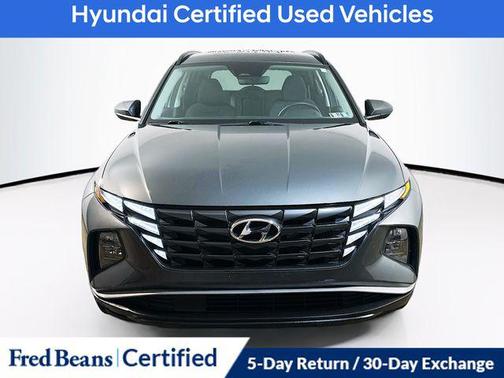 Amazon Gray 2024 Hyundai TUCSON Hybrid Blue