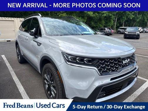Wolf Gray 2023 Kia Sorento SX