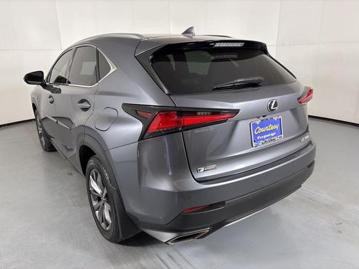 Gray Pearl 2020 Lexus NX 300 F Sport