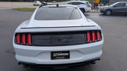 2023 Ford Mustang EcoBoost