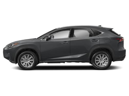 Nebula Gray Pearl 2020 Lexus NX 300 Base