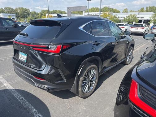 2025 Lexus NX 350h Premium