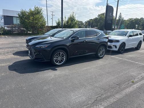 2025 Lexus NX 350h Premium