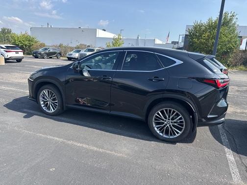 2025 Lexus NX 350h Premium