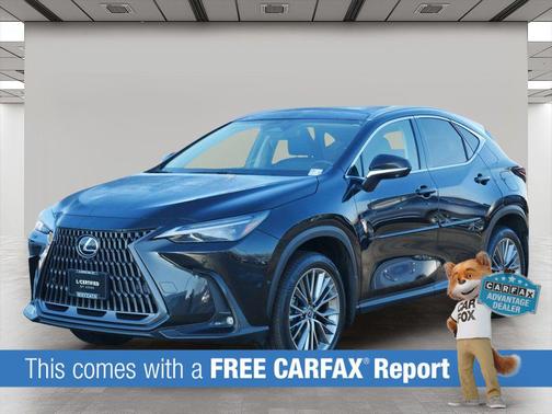 2022 Lexus NX 350h Luxury