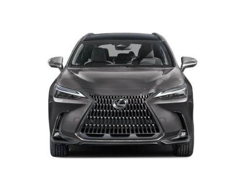 Cloudburst Gray 2026 Lexus NX 350h Luxury