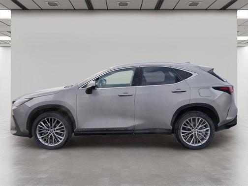 2023 Lexus NX 350 Luxury