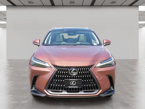 2025 Lexus NX 350h Luxury