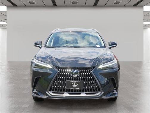 2025 Lexus NX 350h Luxury