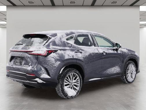2023 Lexus NX 350h Premium
