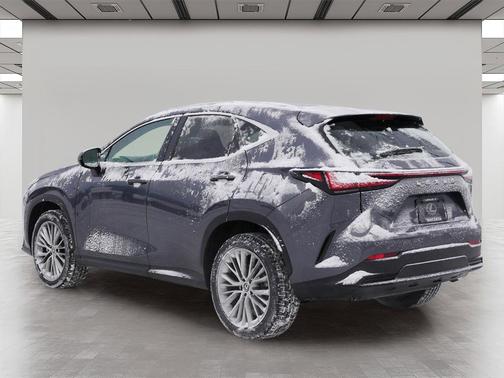 2023 Lexus NX 350h Premium