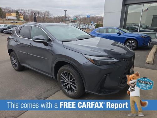 Cloudburst Gray 2024 Lexus NX 350h Premium