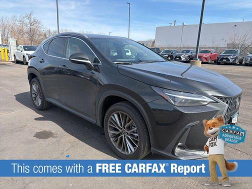 2023 Lexus NX 350 Luxury