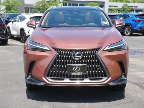 2025 Lexus NX 350 Luxury