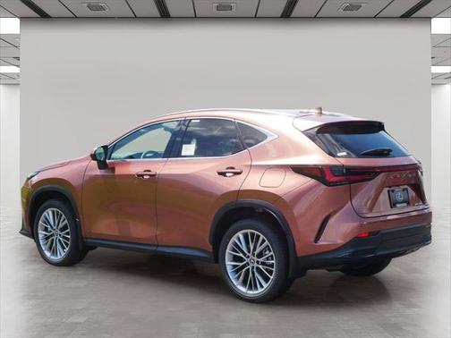 2025 Lexus NX 350 Luxury