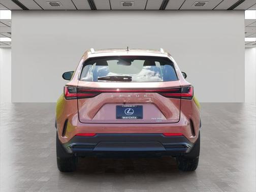 2025 Lexus NX 350 Luxury