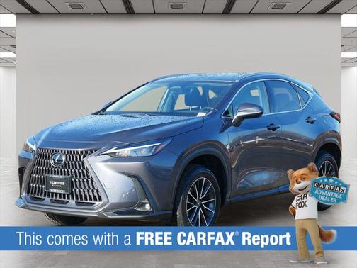 Cloudburst Gray 2023 Lexus NX 350h AWD