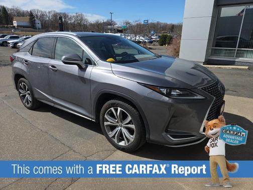 Nebula Gray Pearl 2020 Lexus RX 350 Base