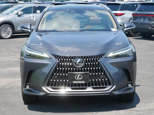 2025 Lexus NX 350 Luxury