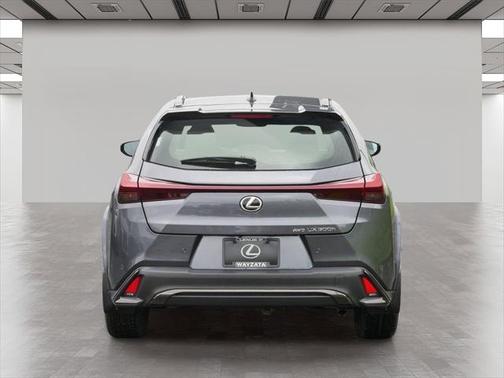 2025 Lexus UX 300h F SPORT Design