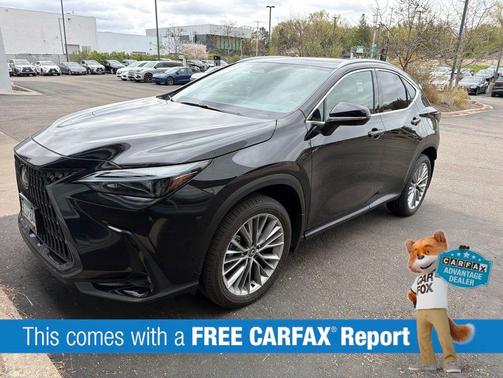 Caviar 2025 Lexus NX 350 Premium