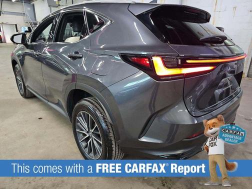 Cloudburst Gray 2024 Lexus NX 350 350 Base