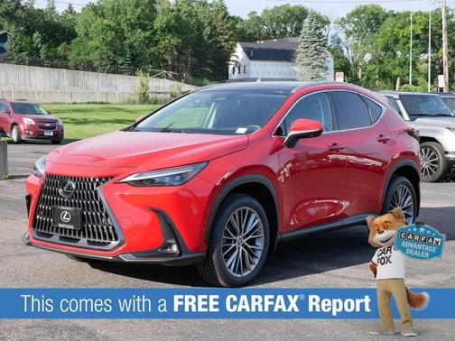 Redline 2023 Lexus NX 350 Luxury