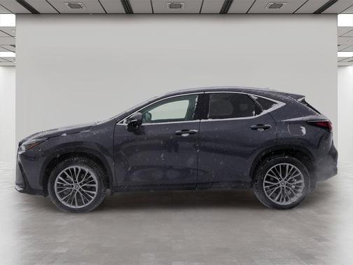 2022 Lexus NX 350h Luxury