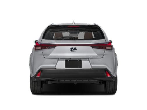 Cloudburst Gray 2026 Lexus UX 300h Premium