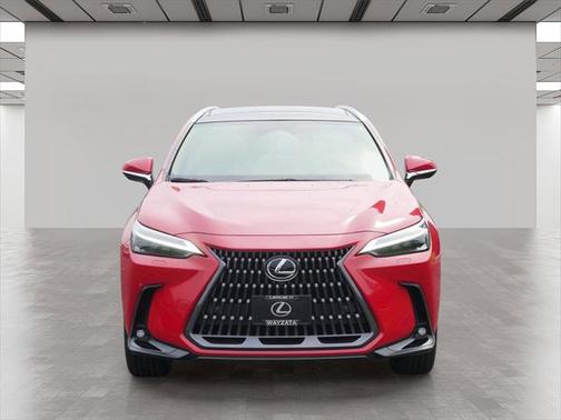 2025 Lexus NX 350h Luxury