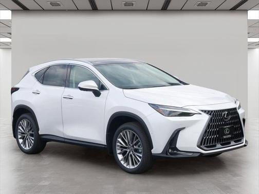 2025 Lexus NX 350 Luxury