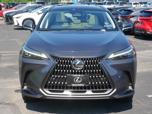 2025 Lexus NX 350h Luxury